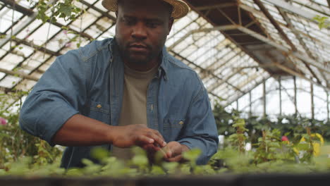 Afroamerikanischer-Bauer-Pflanzt-Samen-Im-Gewächshaus